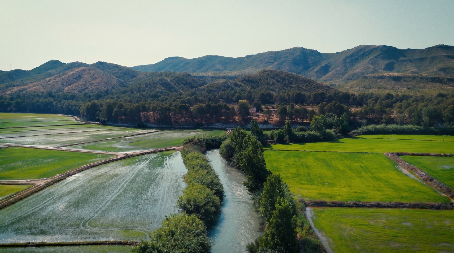 Agricultor tradicional del arroz de Calasparra